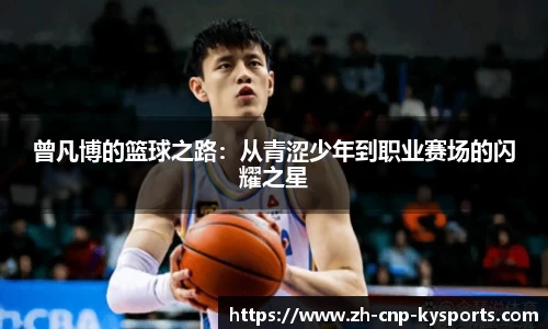 开云kaiyun平台